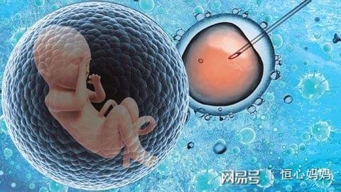 关于靠谱代怀包成功