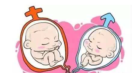 时差培养箱
